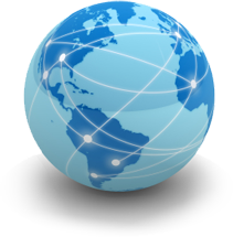 section globe logo